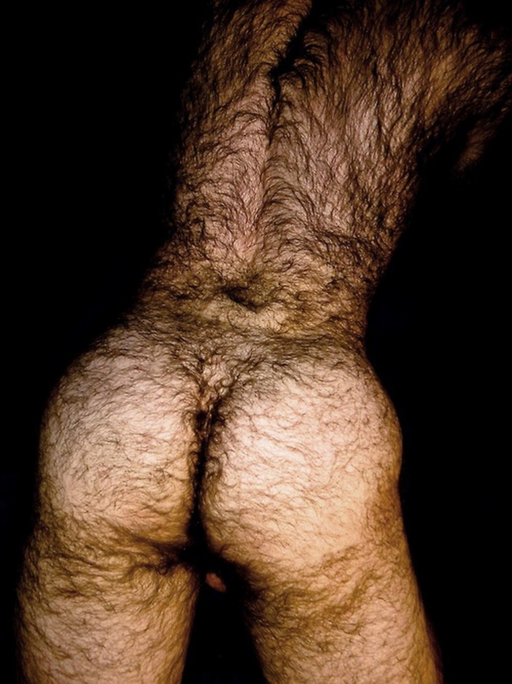 Cul masculin poilu