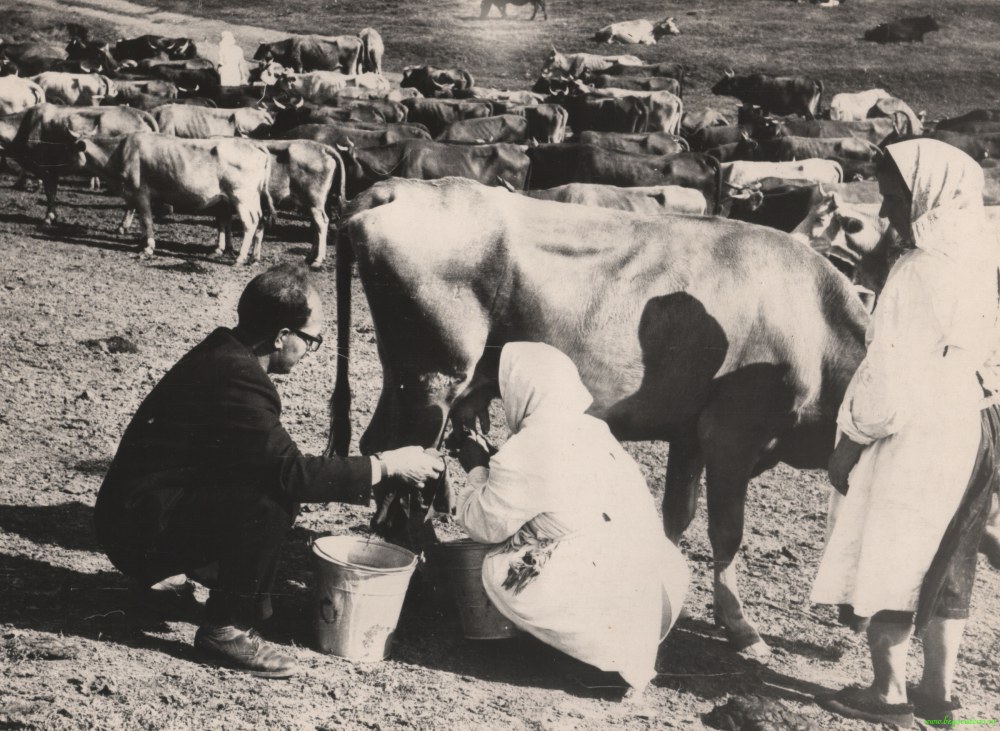 Anal avec les filles du village