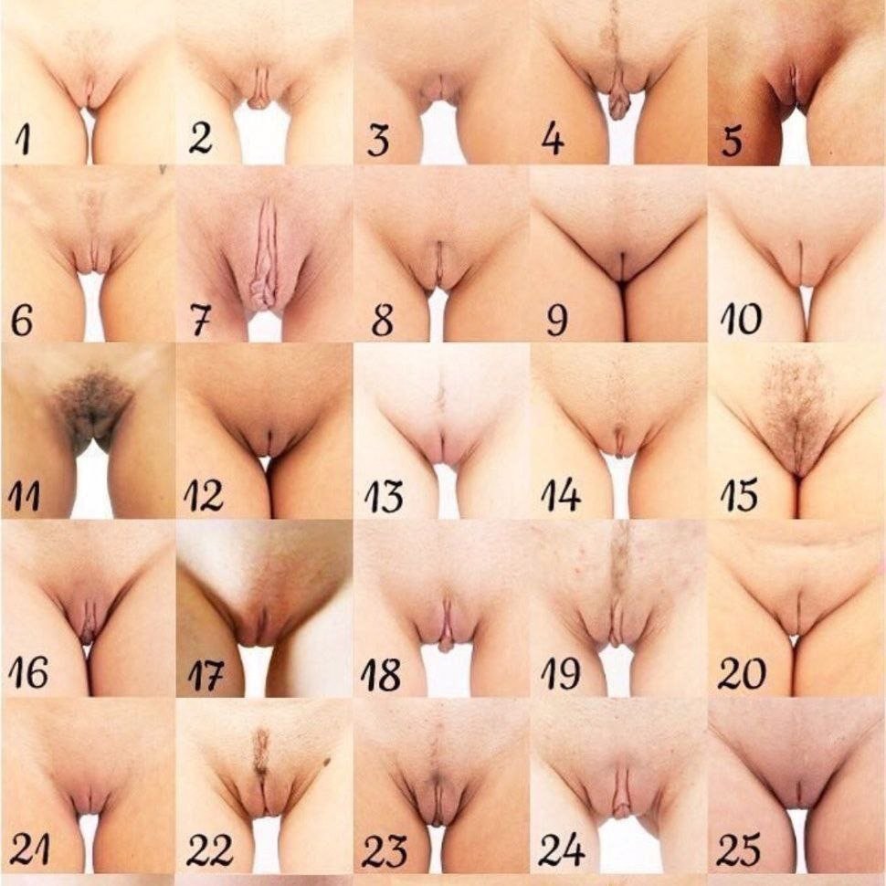 Emplacement du vagin chez les femmes