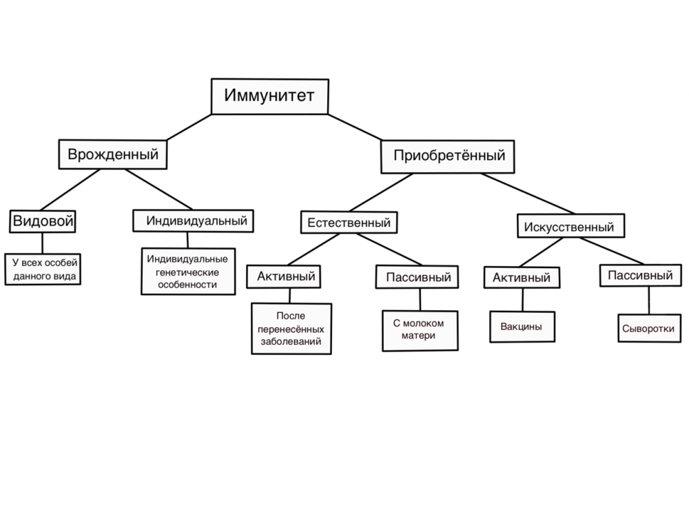 Chargement sur un fond transparent