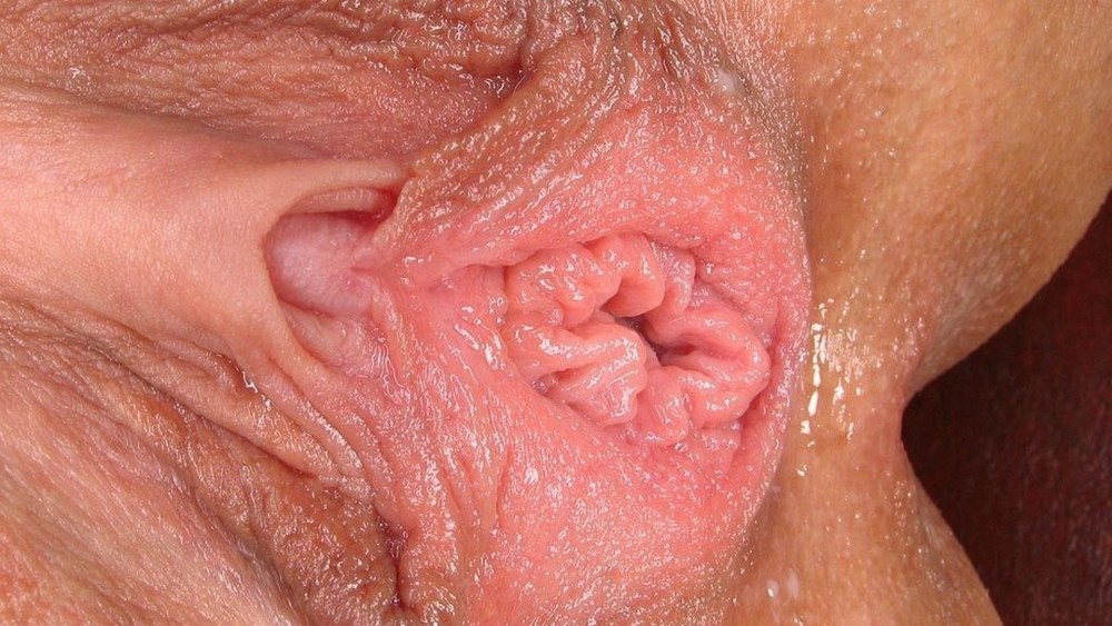 Vagin excité
