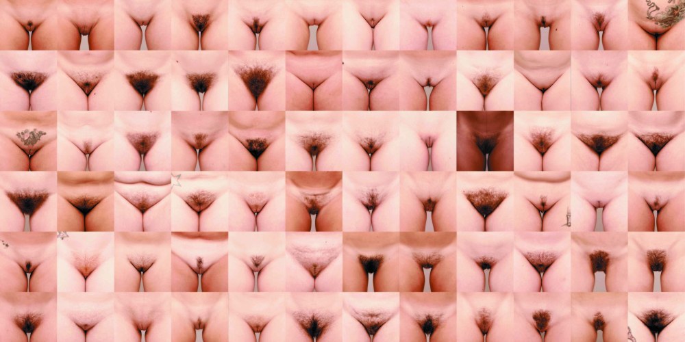 Différentes formes de parties génitales féminines