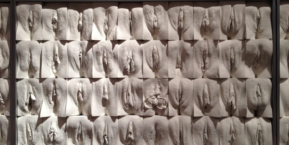 Formes de vagin féminin