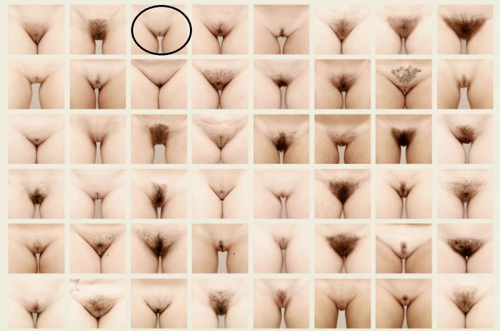 Femmes avec un grand vagin