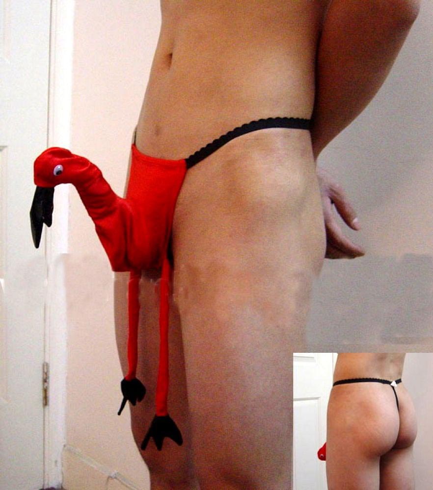 Strapon dans la culotte des femmes