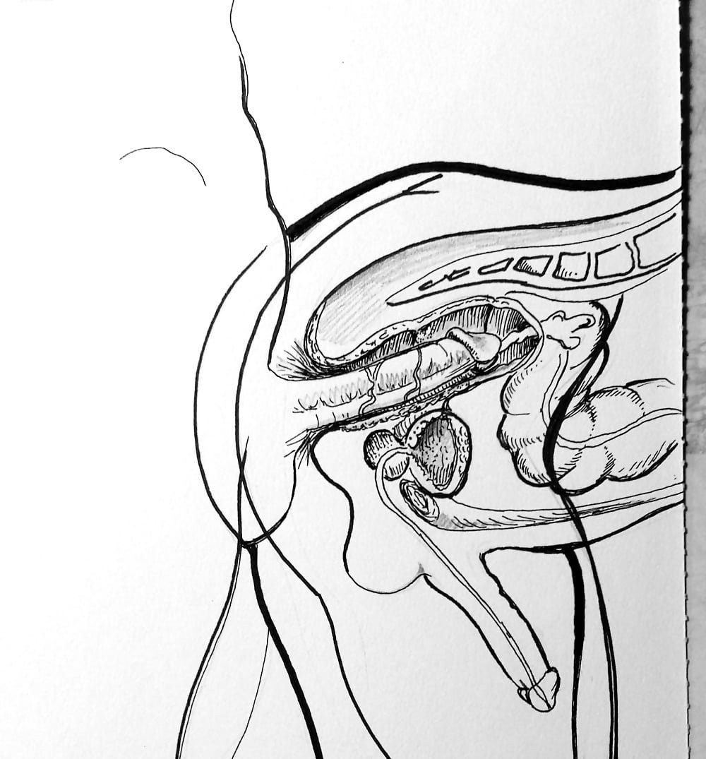Tentacule de la fécondation XRAY Hentai