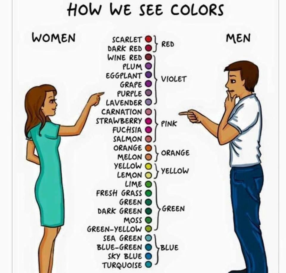 Perception des fleurs par les hommes et les femmes