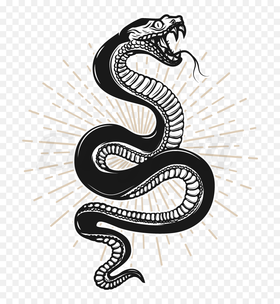 Sketch Tattoo Snake avec une bouche ouverte