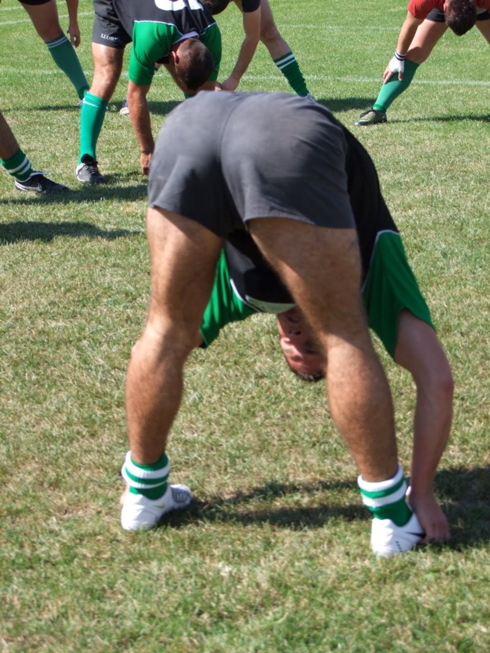 Rugbites poilues