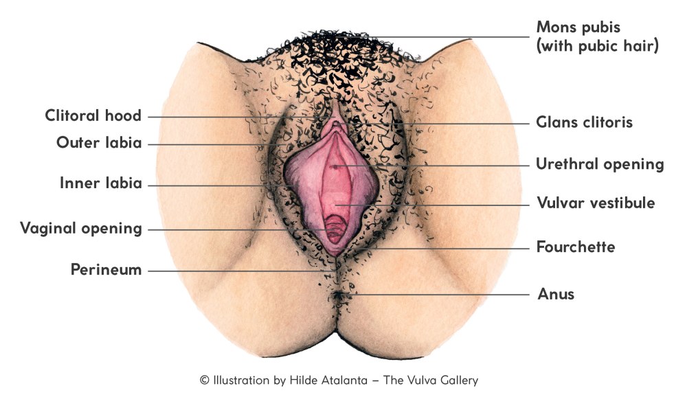 Filles avec un grand clitoris