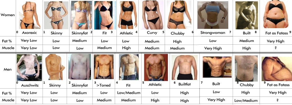 Hormones des hommes et des femmes
