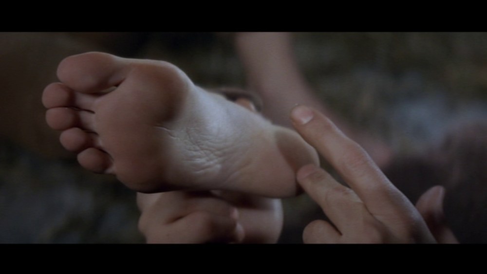 Bardo Brigitte Young