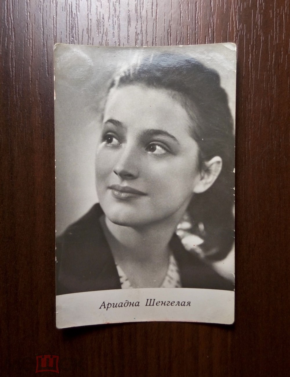 Actrice Ariadne Schengya