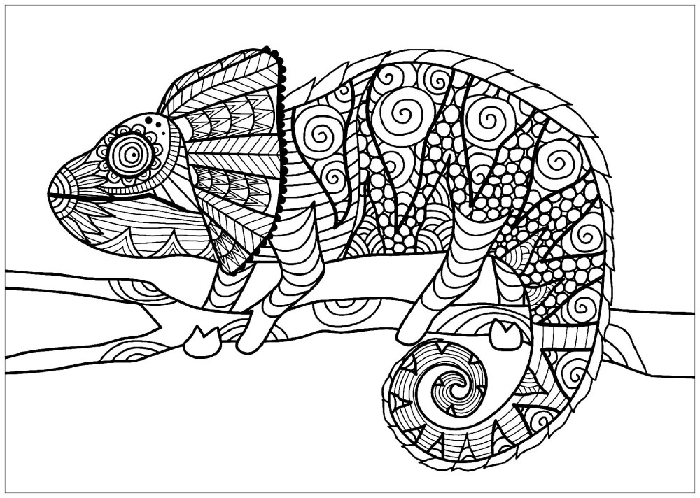 Hameleon Zentangle