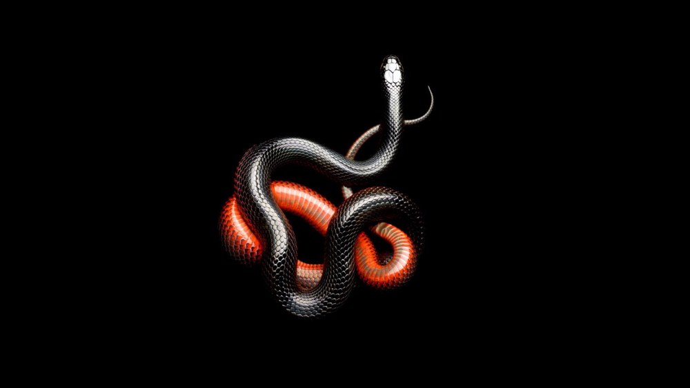 Snake xcom 2 Viper