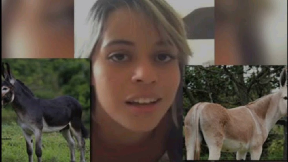 Mulher Com Jumento