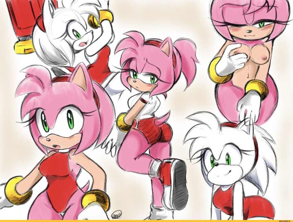 Amy Rose Lesbienne de Sonic