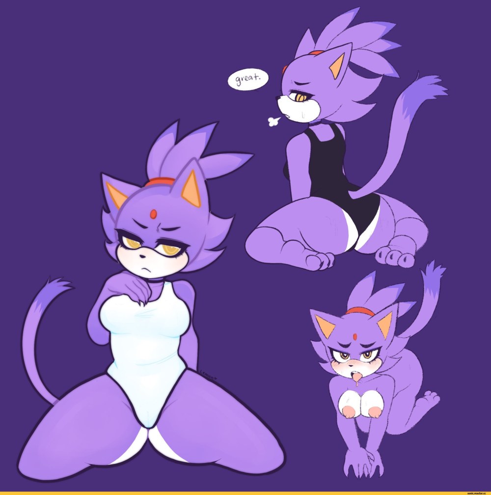 Chat Blaise ero