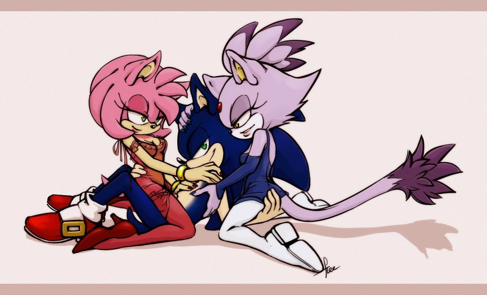 Sonic Amy et Blaise 19