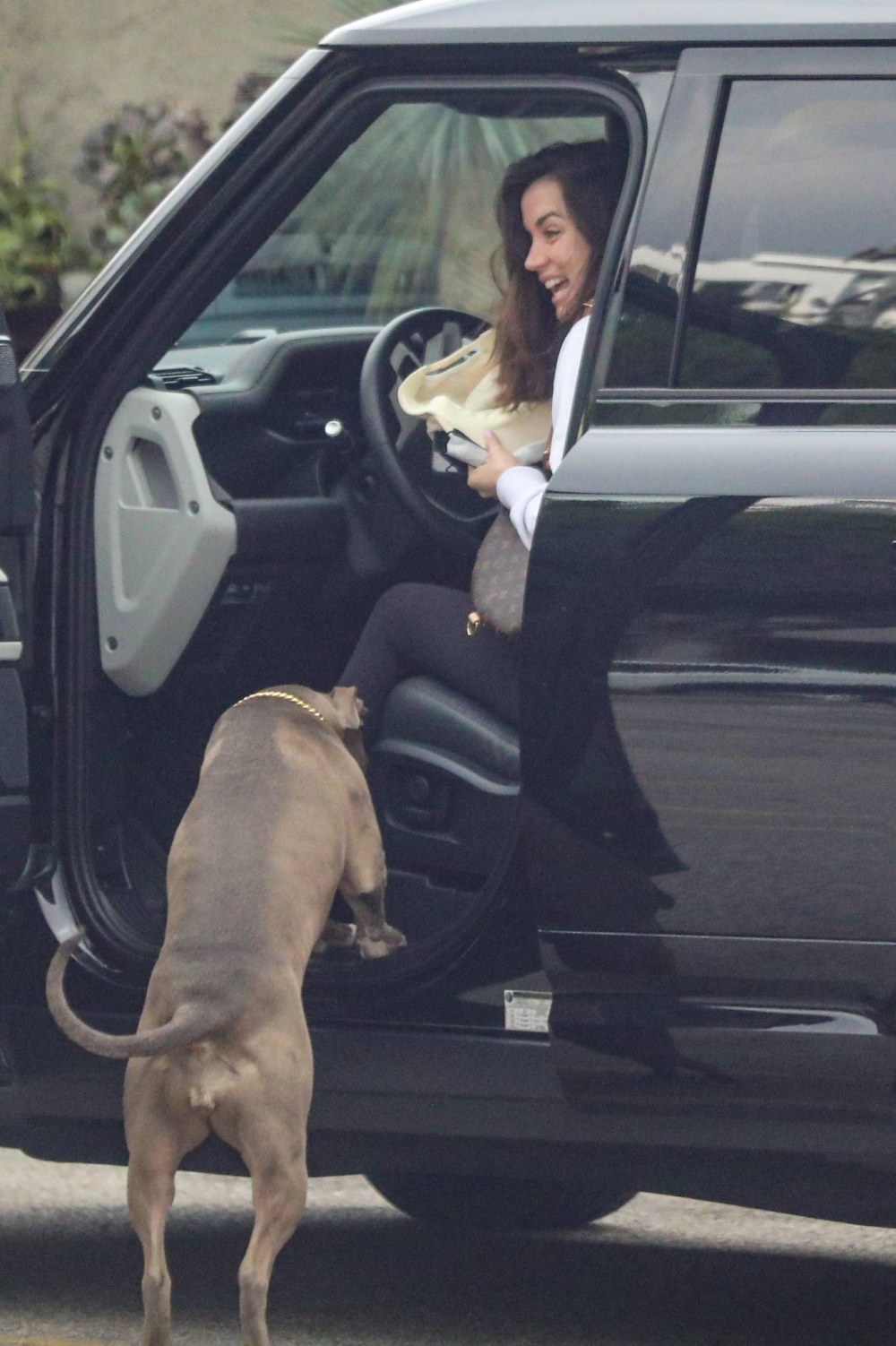 Ana de armas paparazzi 2022