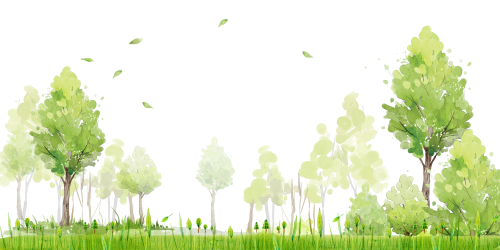 Le contenu de l'eau dans le corps humain en pourcentage