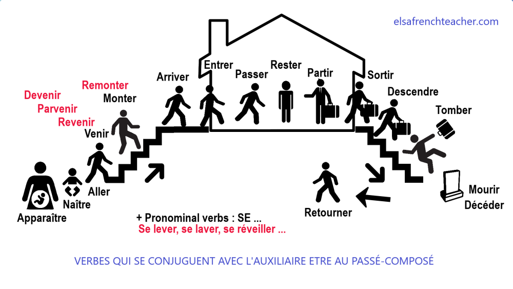 Verbes de Etre dans Passe composent