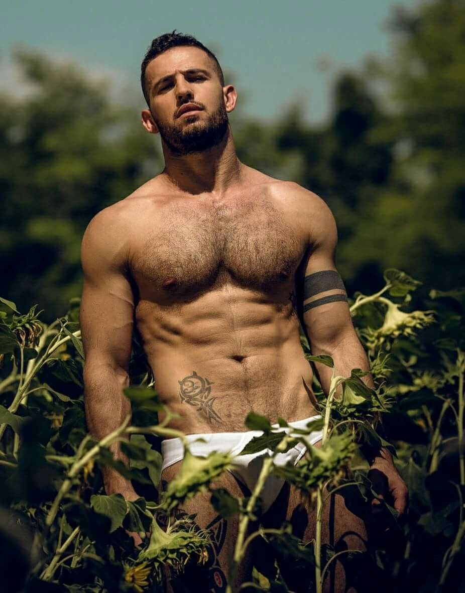 Jorje David