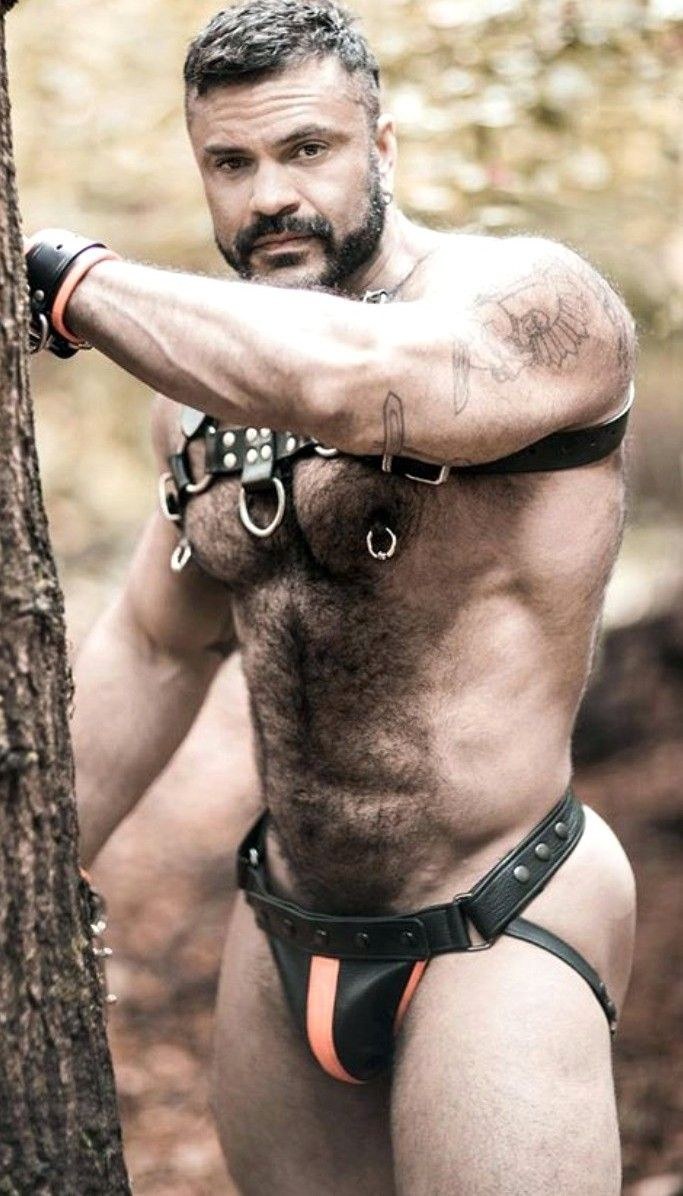 Ours musculaire en cuir