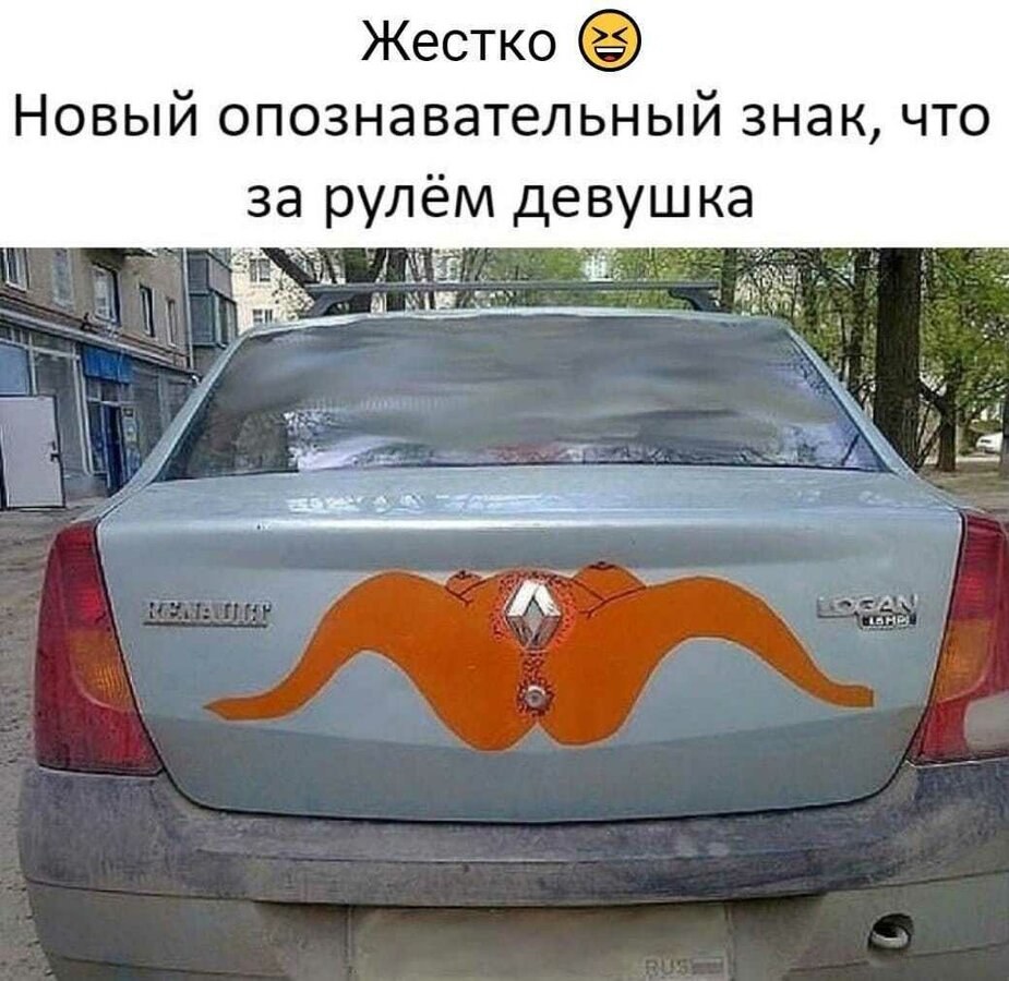 Autocollants frais sur la voiture