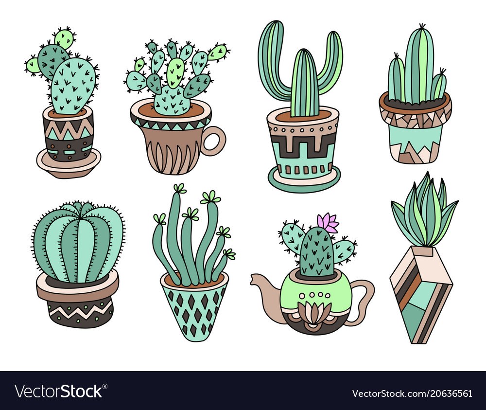 Cactus pour le carnet de croquis