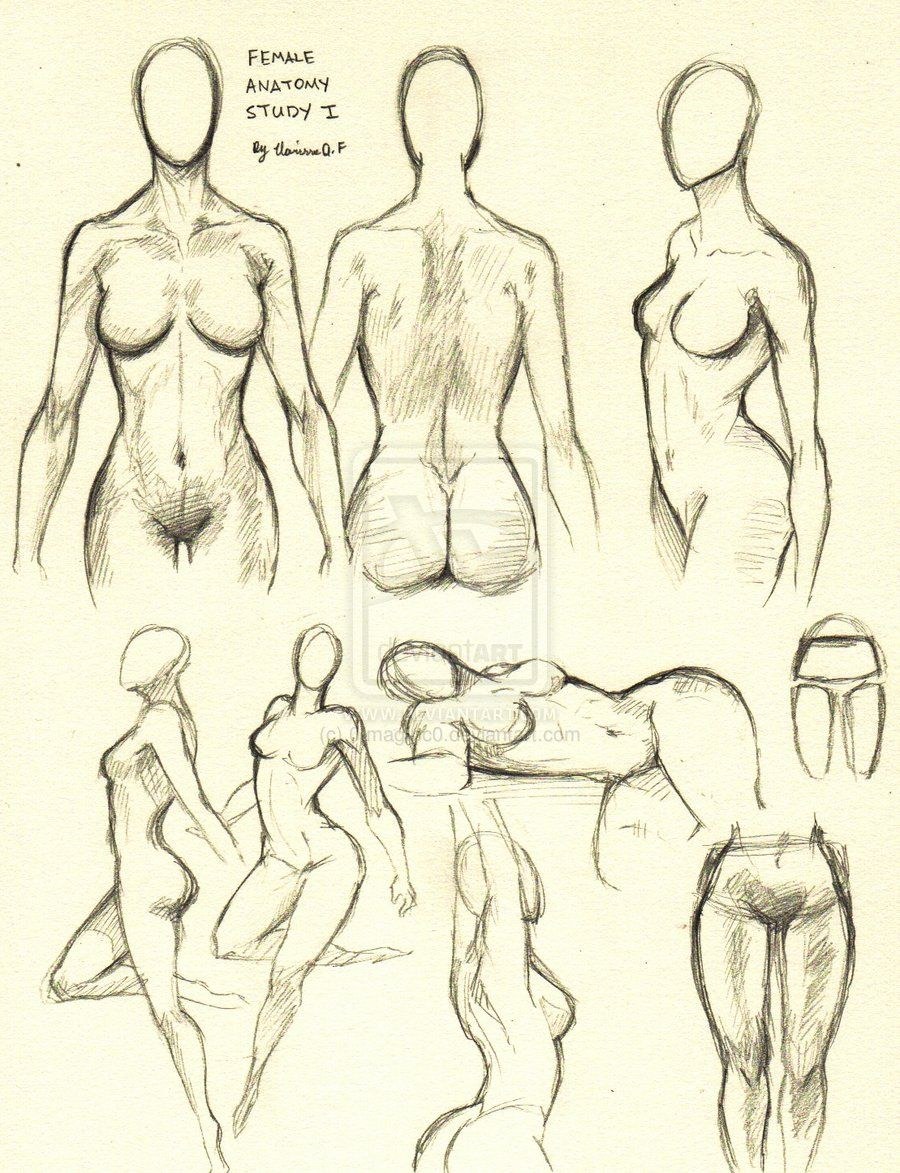Images érotiques dessinées
