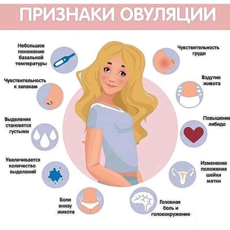 1 symptômes de grossesse