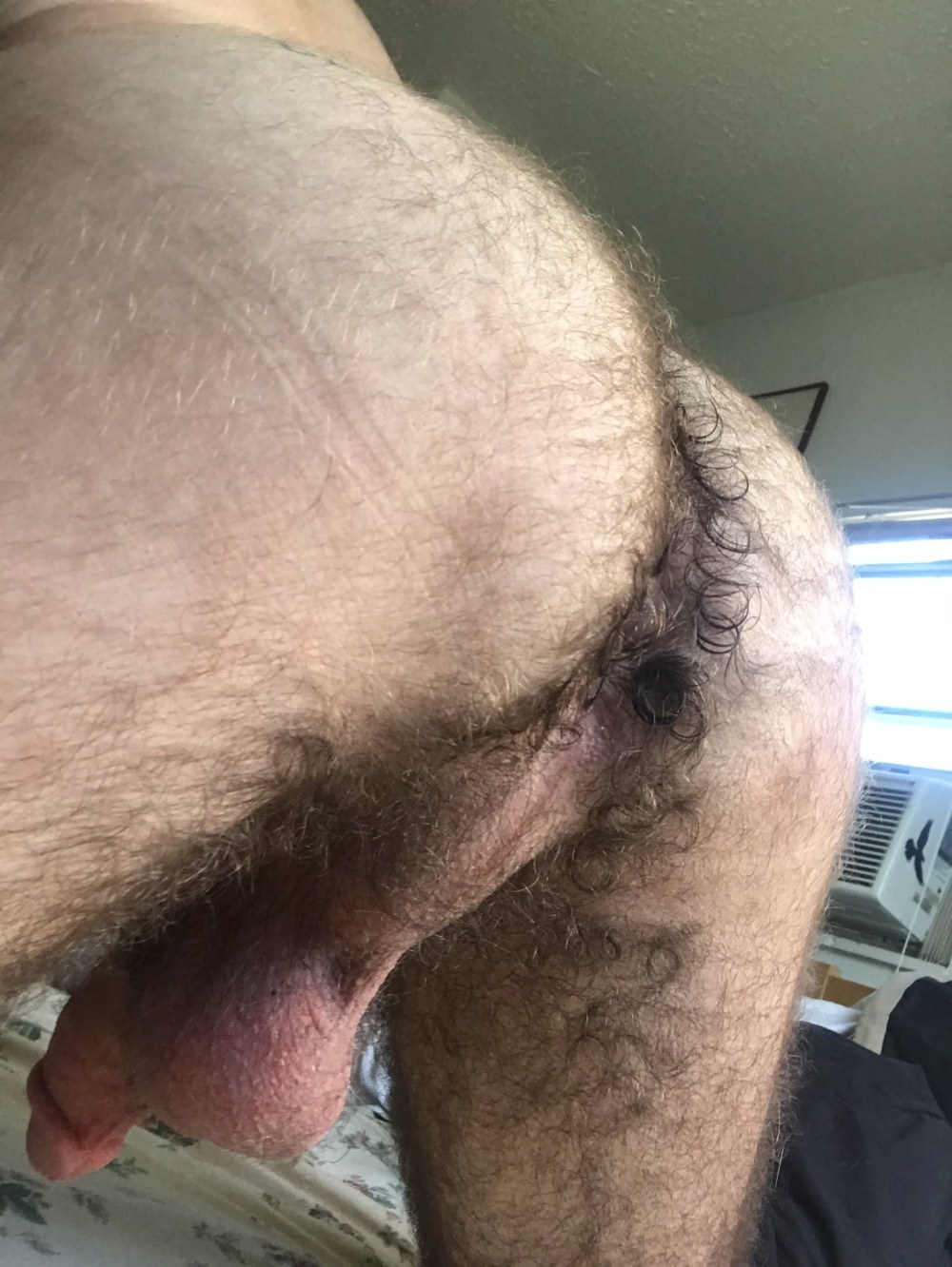 Le gars suce une bite poilue