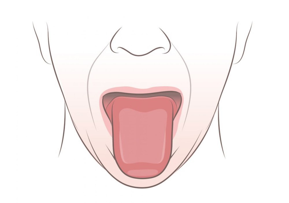 Caresses orales au lit