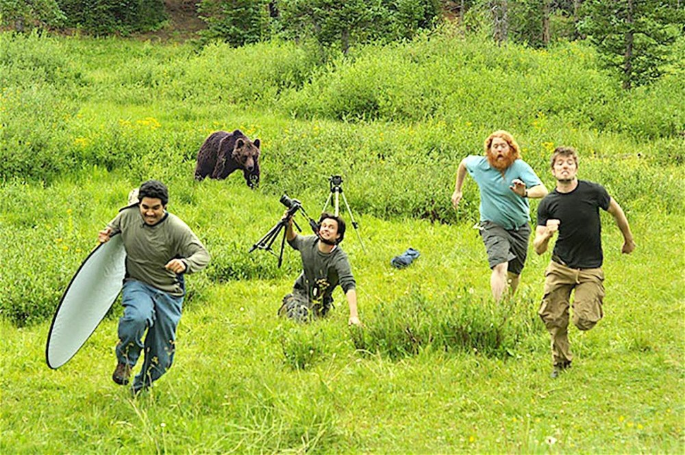 L'homme s'enfuit de l'ours
