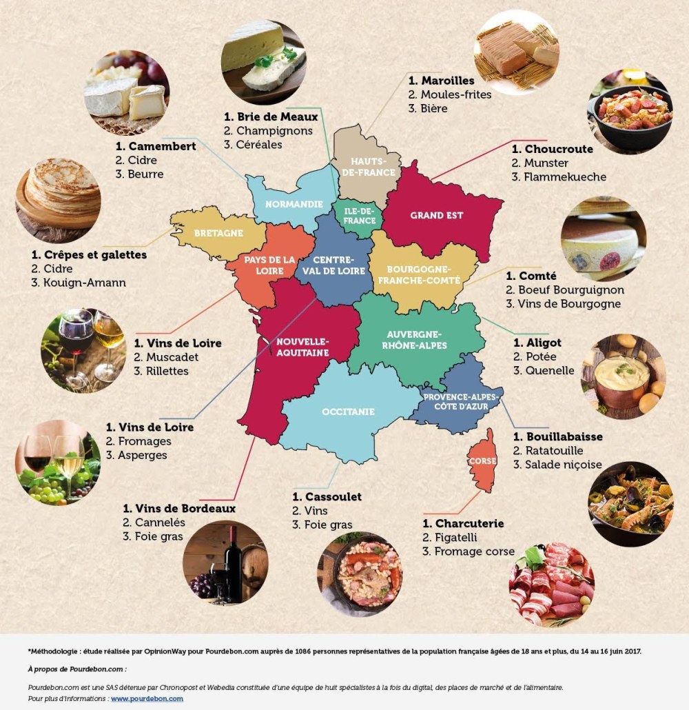 Champignons dessins comestibles et non comestibles avec des noms