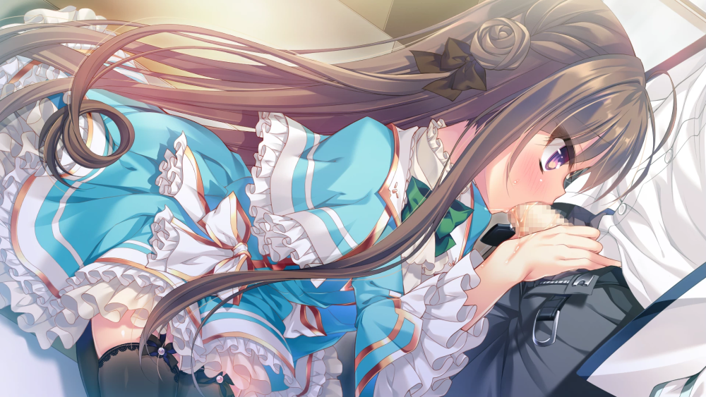 Boukyaku Shitsuji à Koi Suru ojou-sama aucun mémoire