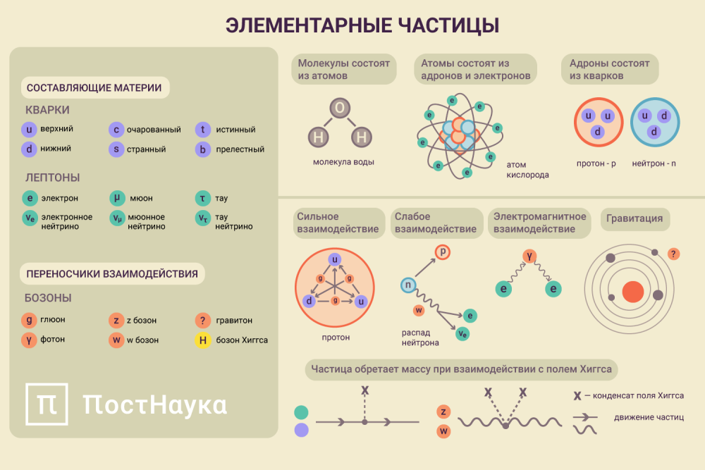 . Particules Elentry impliquées dans la construction de substances:
