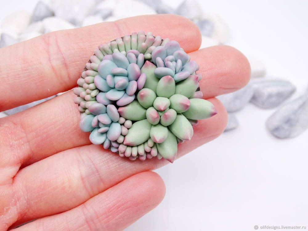 Succulentes en argile en polymère