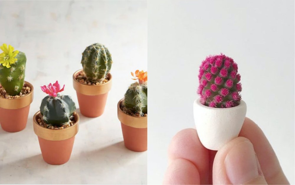 Pots pour petits cactus