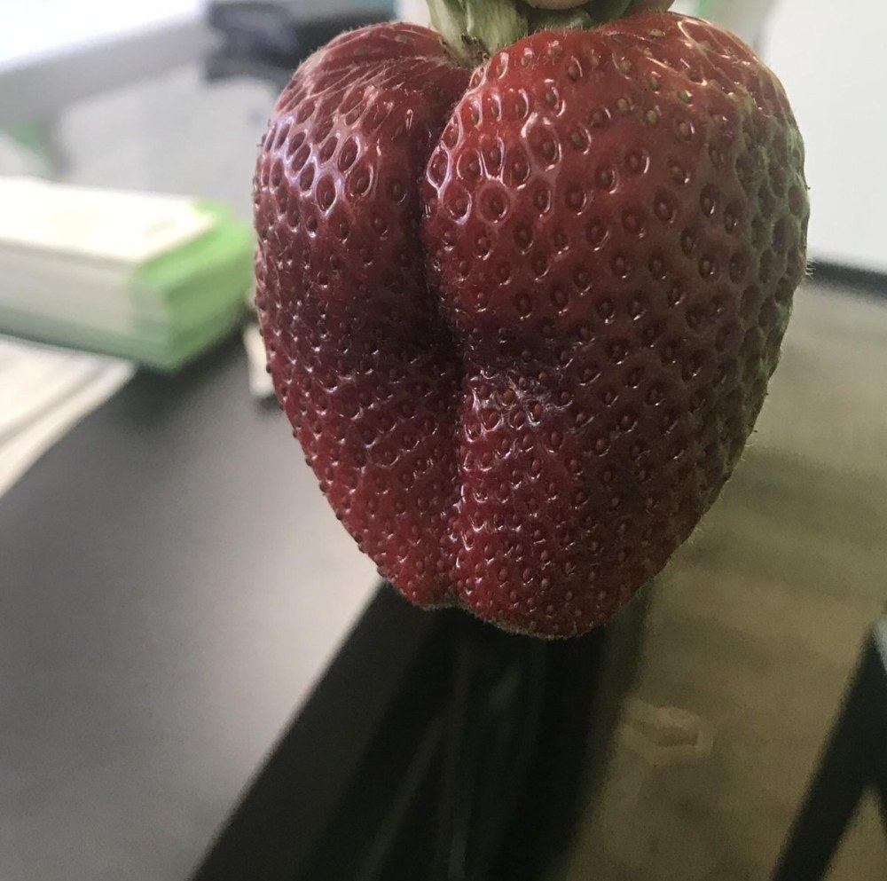 Assayer un cœur