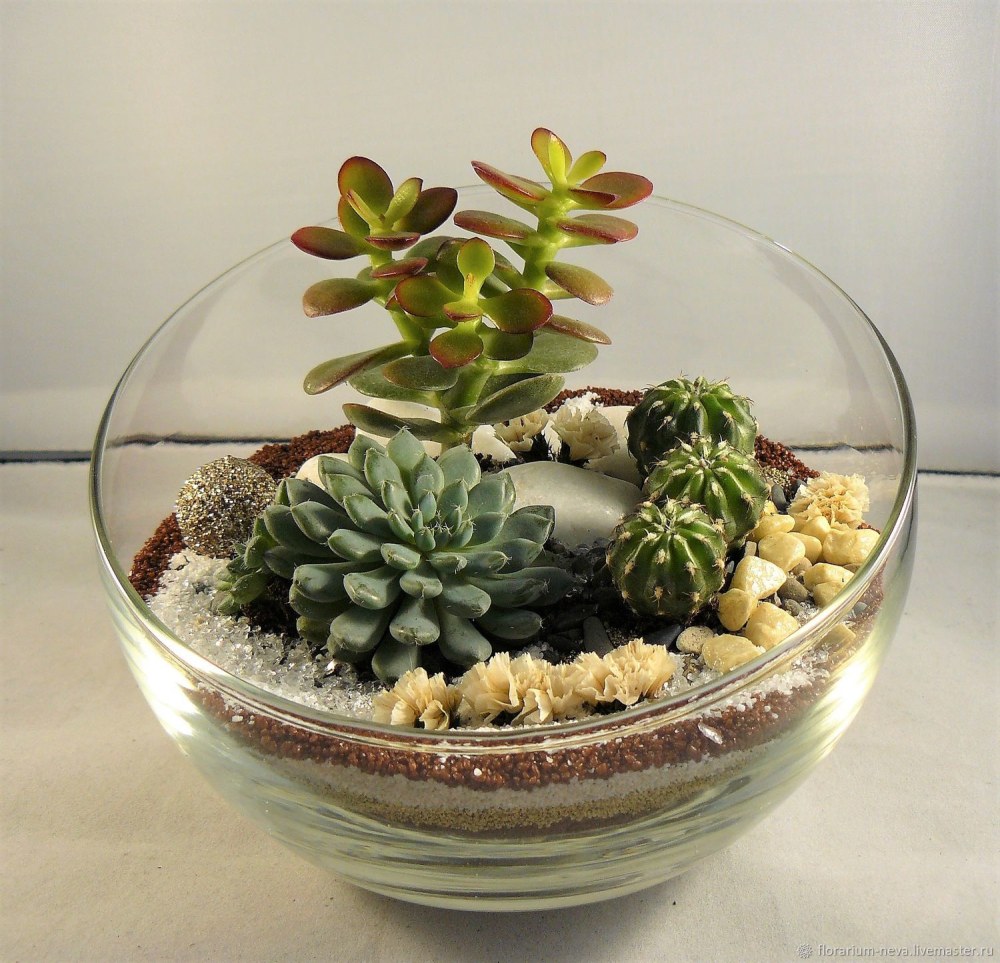 Florarium Aichrizon