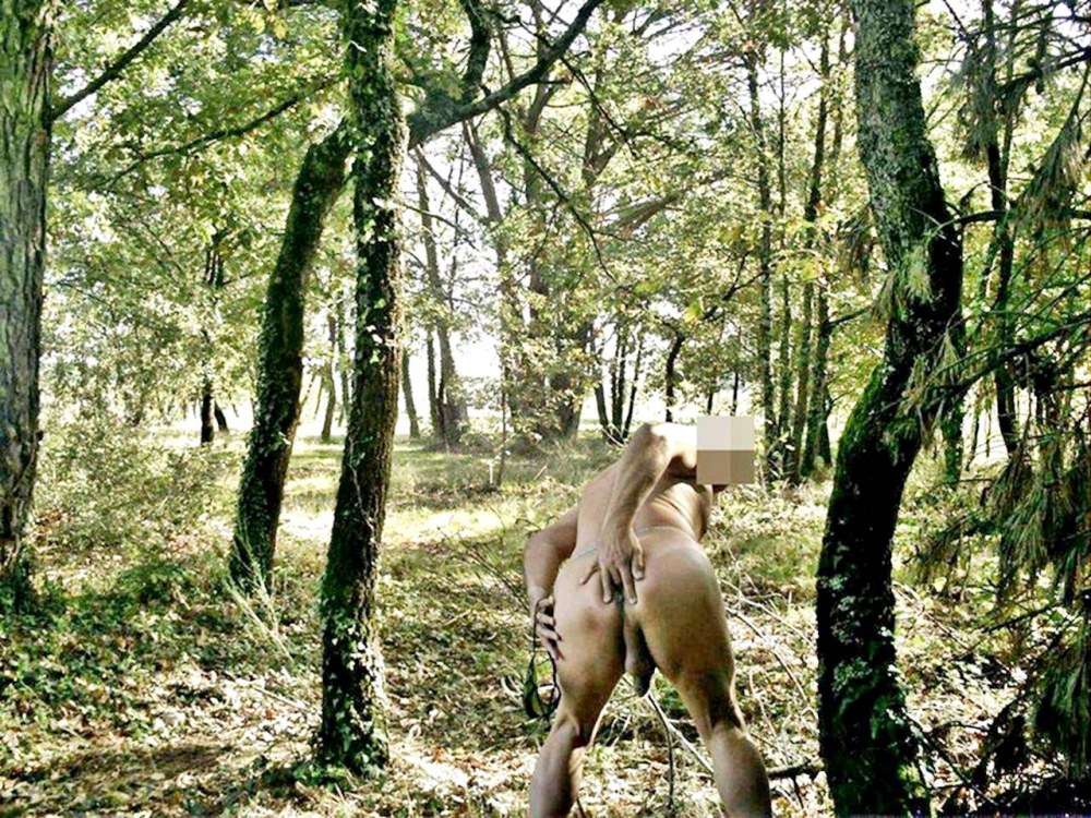 Les filles baisent dans la forêt