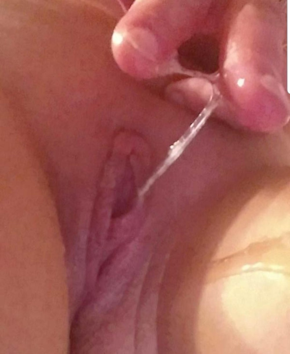 Chattes féminines excitées