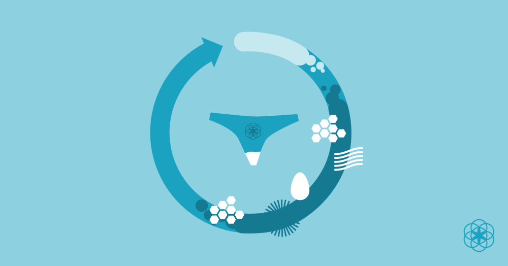 Cercle de cycle menstruel