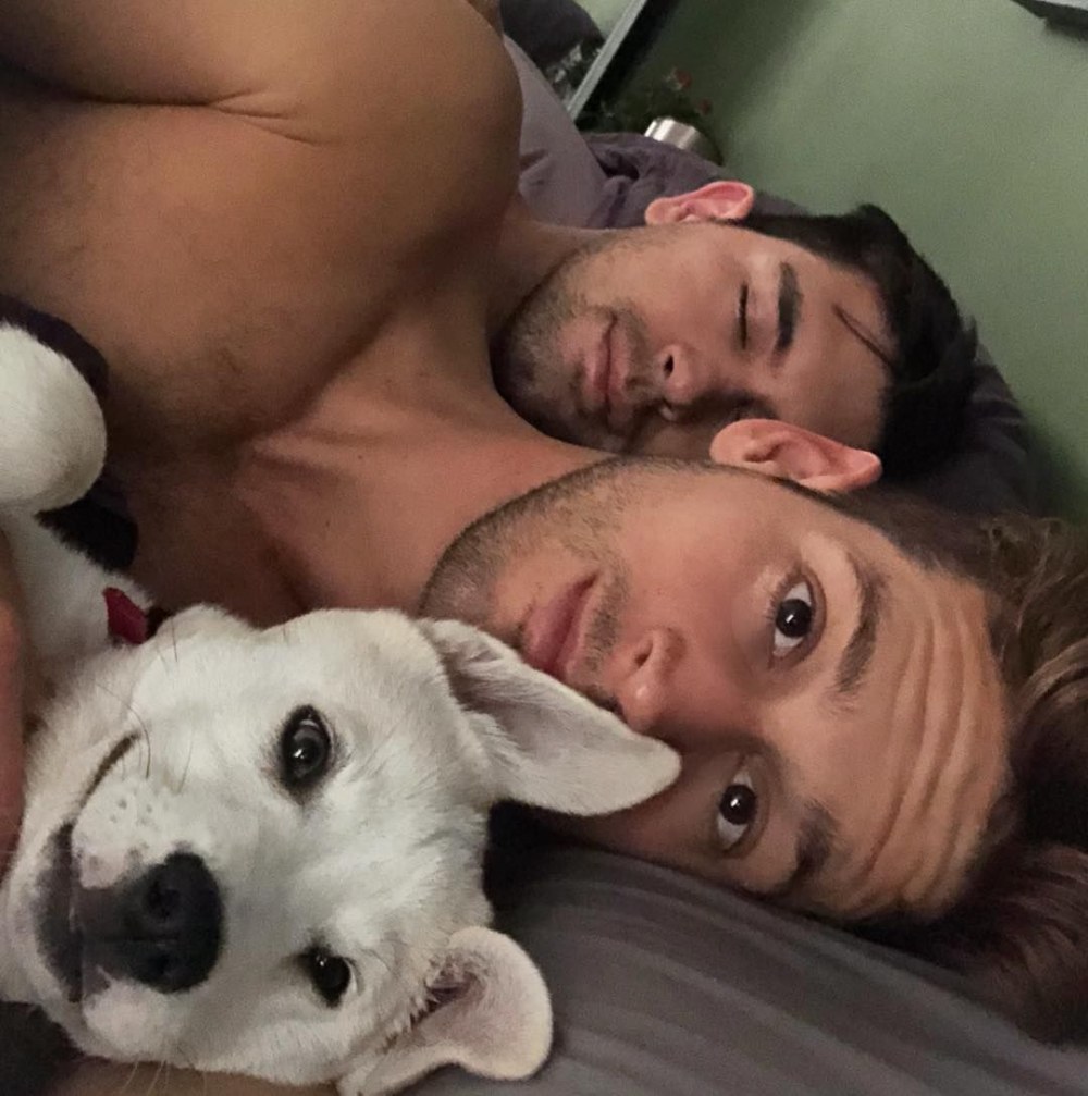 Deux chiens