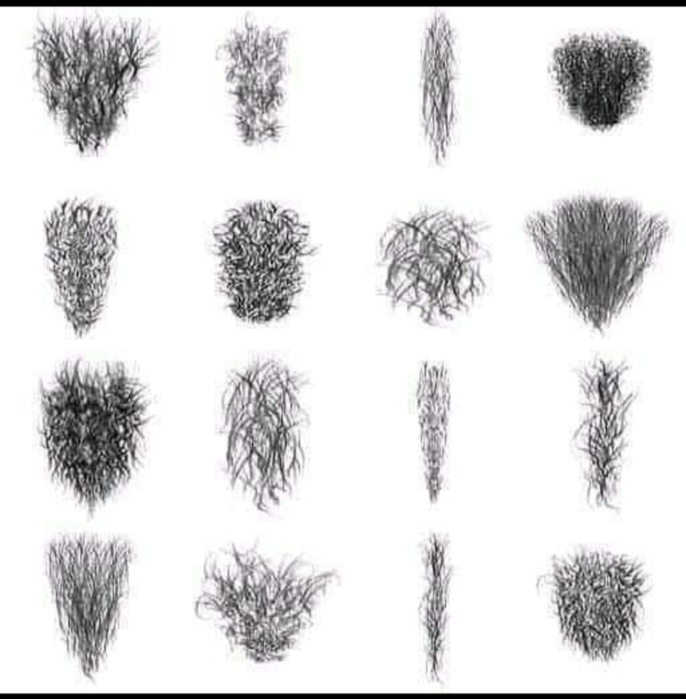 Coiffures pubiennes