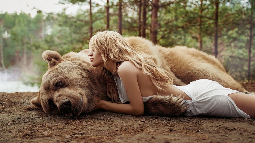 Coloration de l'ours endormi pour les enfants