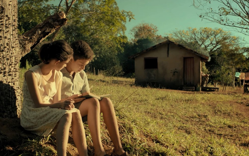 Film de pélicule