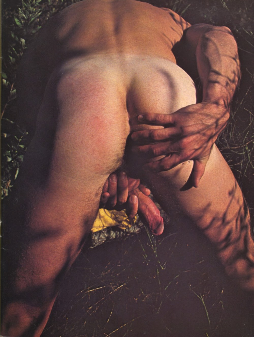Beaux homosexuels